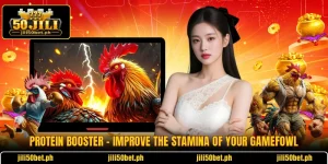 Protein Booster - Improve The Stamina Of Your Gamefowl