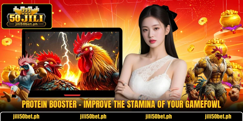 Protein Booster - Improve The Stamina Of Your Gamefowl